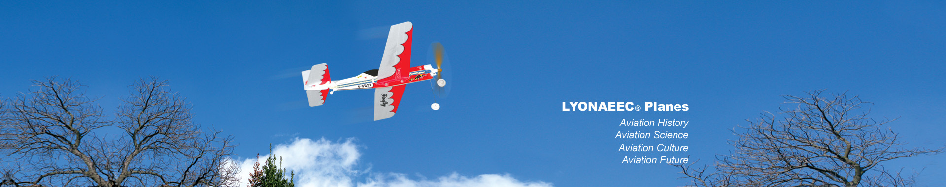 LYONAEEC planes banner 1