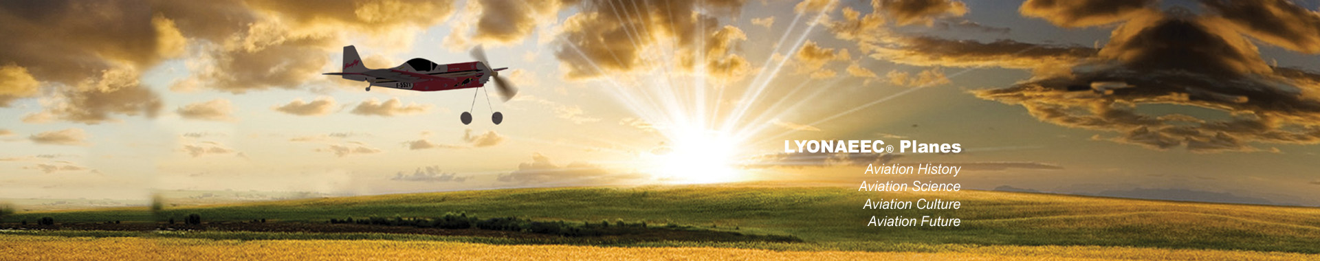 LYONAEEC planes banner 2