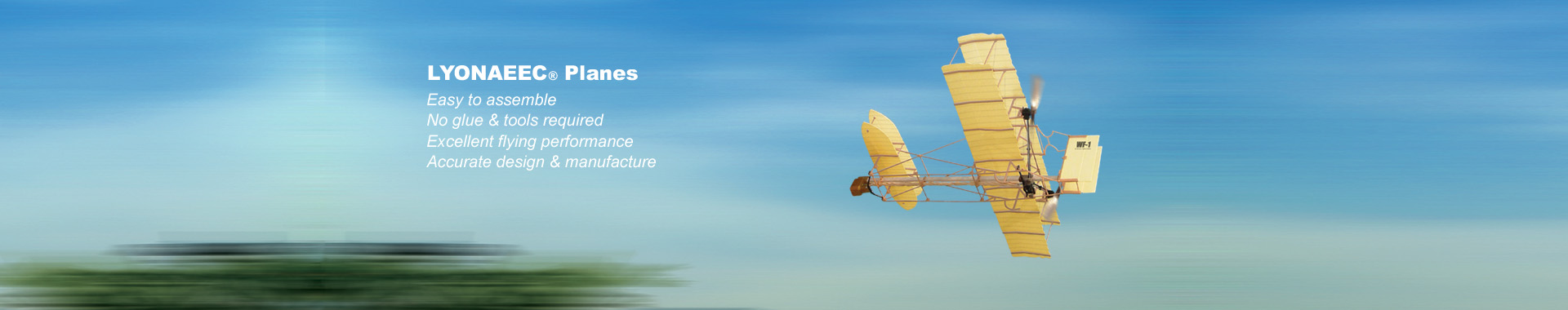 LYONAEEC planes banner 3