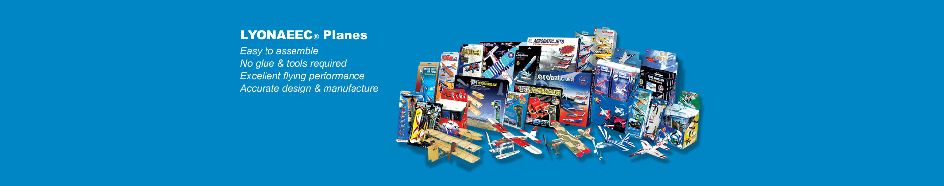 LYONAEEC planes banner 6