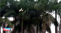 R Series Large-size High Performance Planes